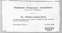 Image Associated With the Occurence